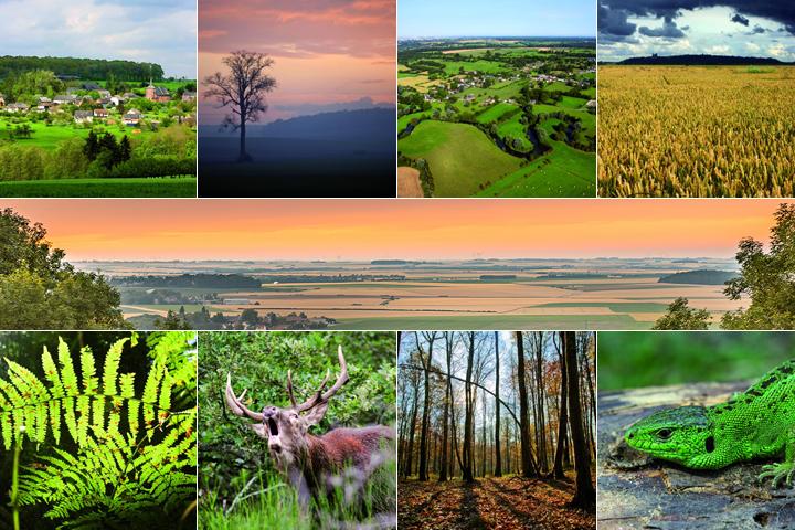 Paysages de l'Aisne